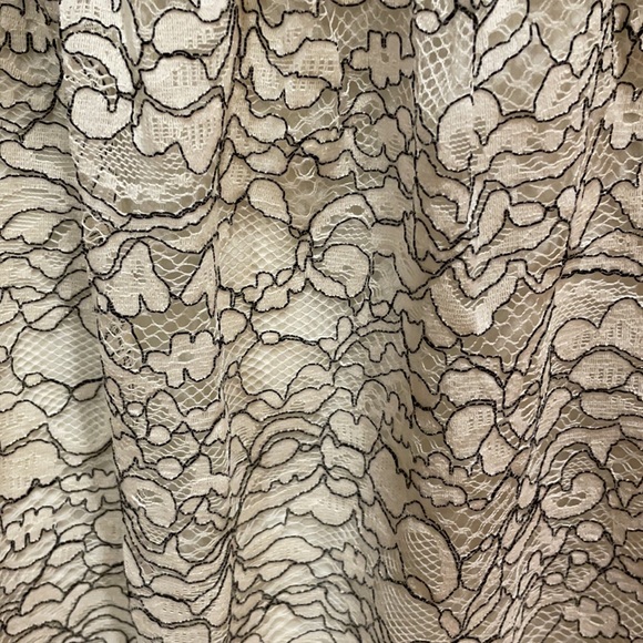 Francesca’s dress, Size Small - Picture 3 of 3